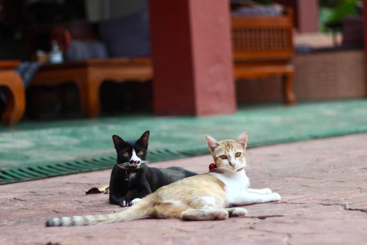 Joy'S House & Tour Bed & Breakfast - Chiang Mai — Foto’s 3
